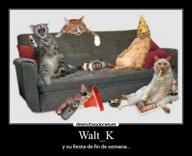 Walt_K - y su fiesta de fin de semana...