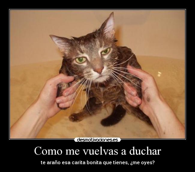 Como me vuelvas a duchar - te araño esa carita bonita que tienes, ¿me oyes?