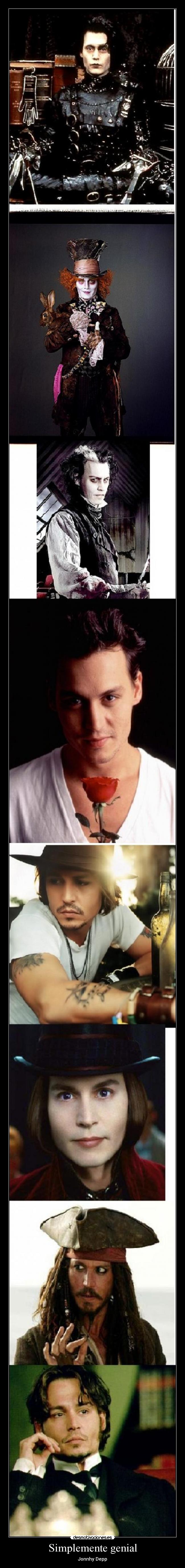 Simplemente genial - 