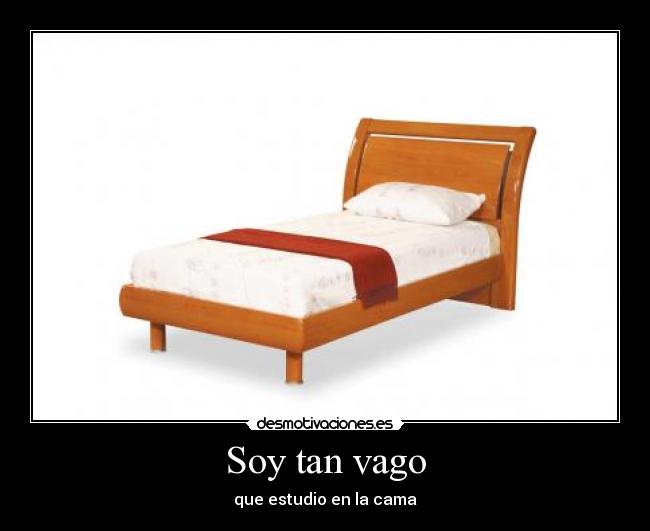 Soy tan vago -