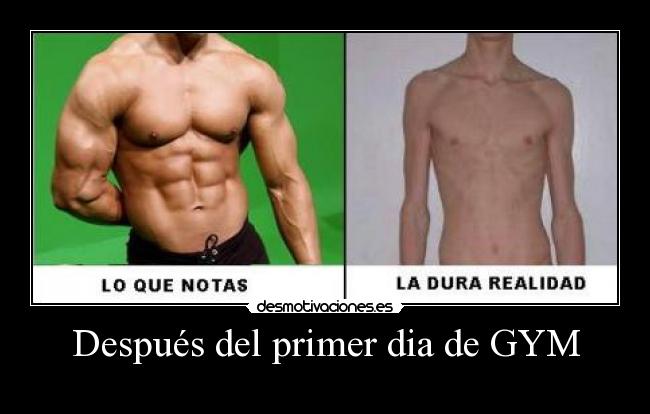 carteles gym gimnasio musculos delgado desmotivaciones