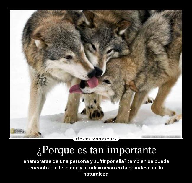 ¿Porque es tan importante - 