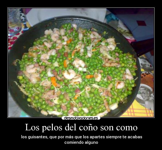 Los pelos del coño son como - 