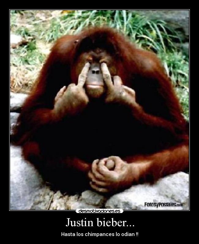 Justin bieber... - 