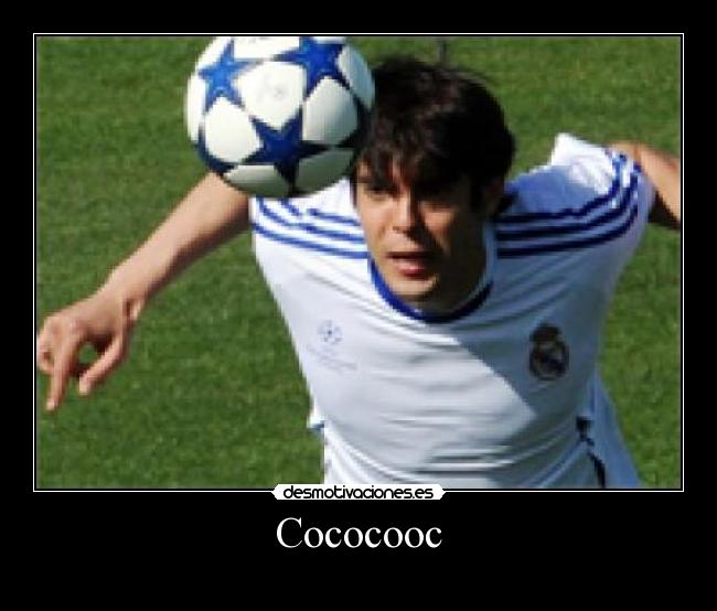 Cococooc - 