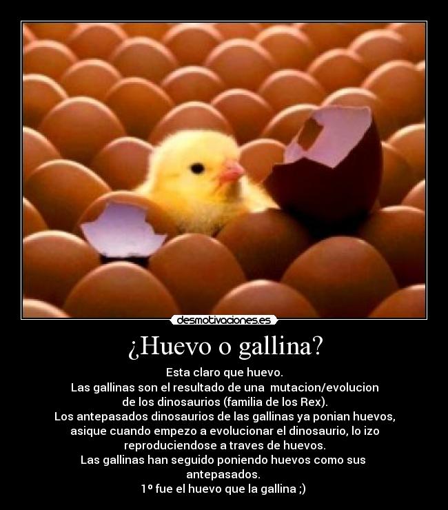¿Huevo o gallina? - Esta claro que huevo.
Las gallinas son el resultado de una  mutacion/evolucion
de los dinosaurios (familia de los Rex).
Los antepasados dinosaurios de las gallinas ya ponian huevos,
asique cuando empezo a evolucionar el dinosaurio, lo izo
reproduciendose a traves de huevos.
Las gallinas han seguido poniendo huevos como sus 
antepasados. 
1º fue el huevo que la gallina ;) 