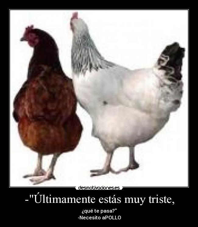 -Últimamente estás muy triste, - ¿qué te pasa?
-Necesito aPOLLO