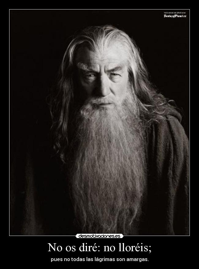 carteles gandalf lloreis lagrimas amargas desmotivaciones