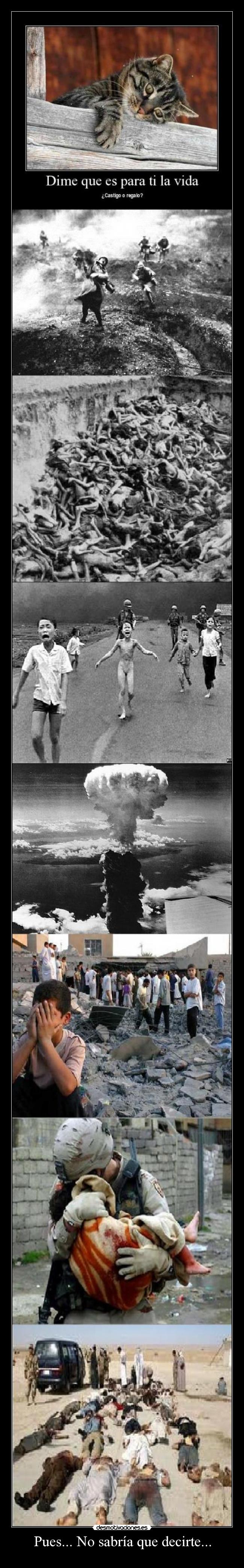 Pues... No sabría que decirte... -