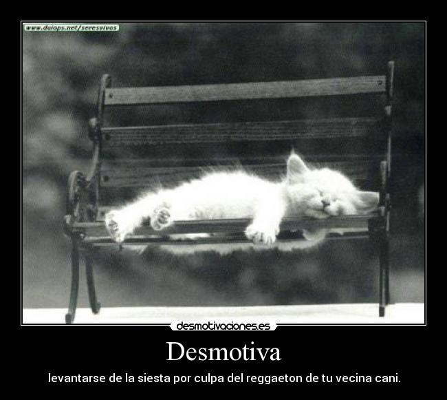 Desmotiva - 