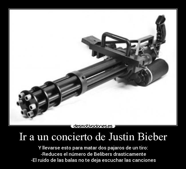 Ir a un concierto de Justin Bieber - 