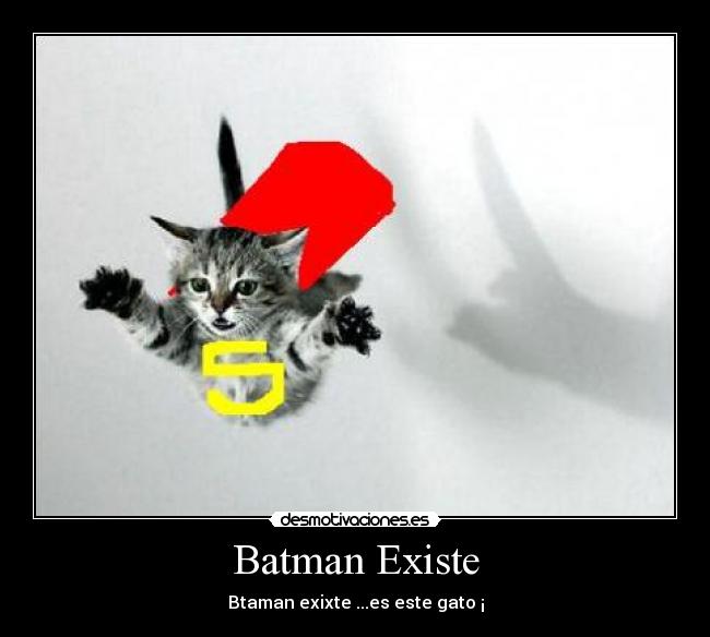 Batman Existe - Btaman exixte ...es este gato ¡