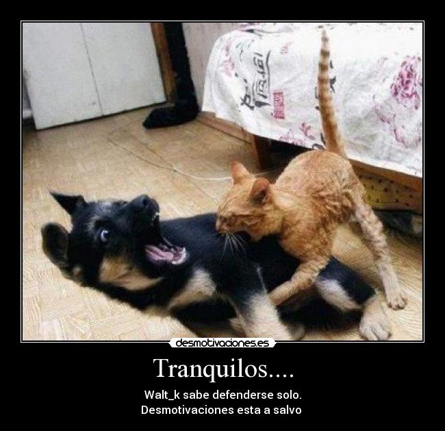 Tranquilos.... - Walt_k sabe defenderse solo.
Desmotivaciones esta a salvo