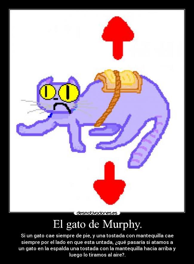 El gato de Murphy. - 