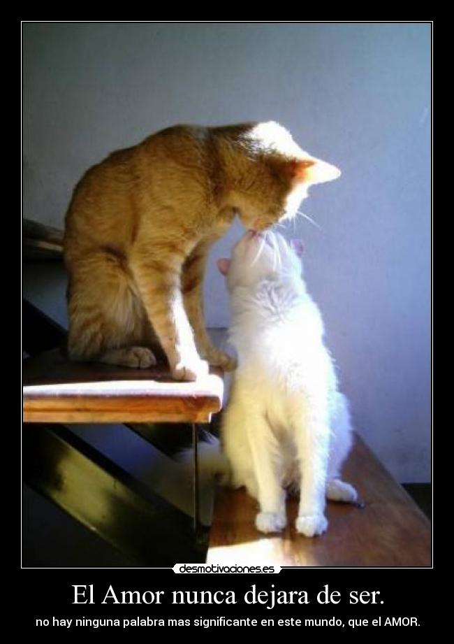 El Amor nunca dejara de ser. - 