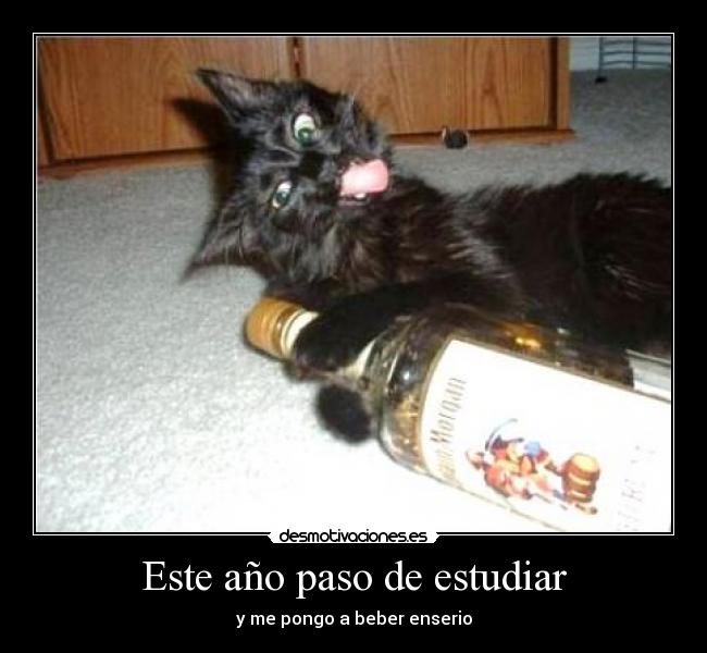 Este año paso de estudiar - y me pongo a beber enserio