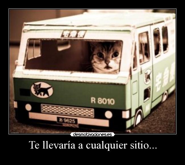Te llevaría a cualquier sitio... -
