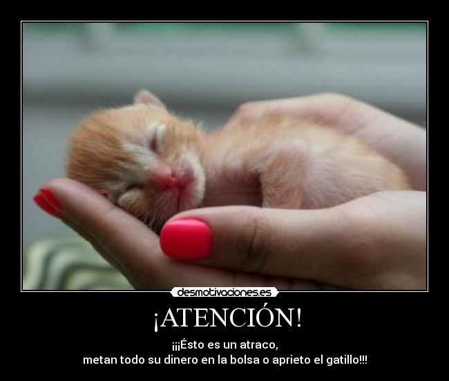 ¡ATENCIÓN! - ¡¡¡Ésto es un atraco,
metan todo su dinero en la bolsa o aprieto el gatillo!!!