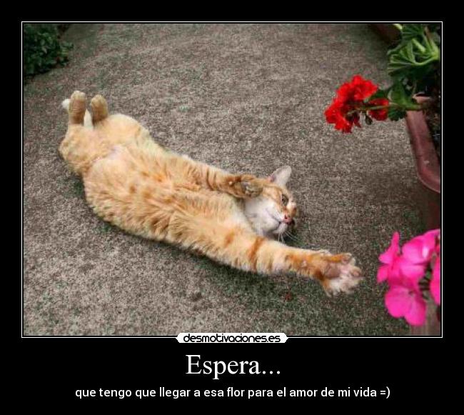 carteles asjhndaksj desmotivaciones