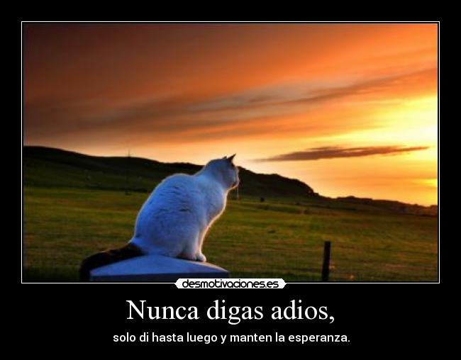 Nunca digas adios, - solo di hasta luego y manten la esperanza.