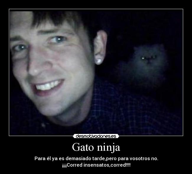 Gato ninja -