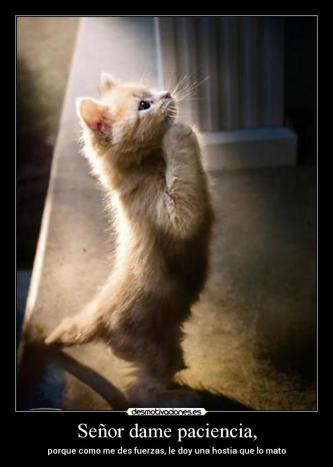 Señor dame paciencia, -