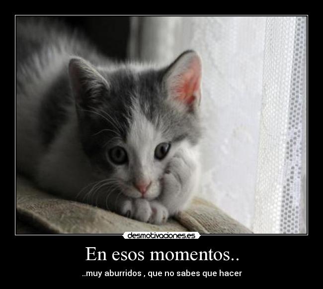 En esos momentos.. - ..muy aburridos , que no sabes que hacer