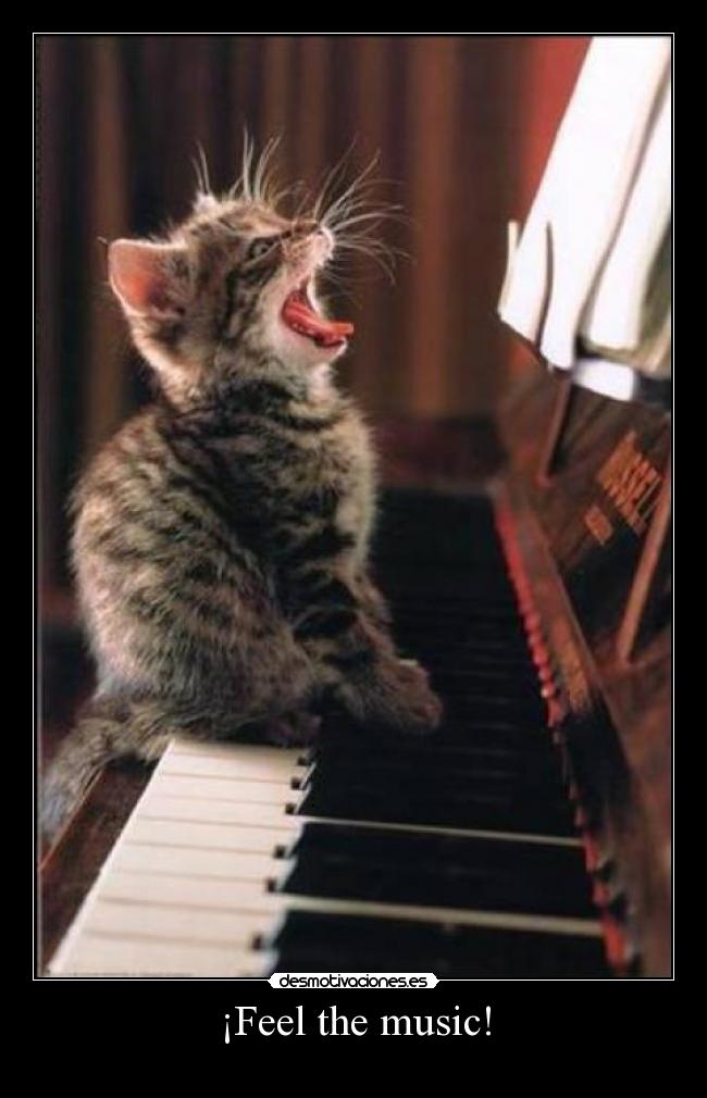 ¡Feel the music! - 