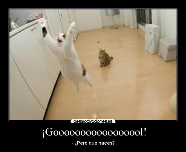 ¡Gooooooooooooooool! - - ¿Pero que haces?