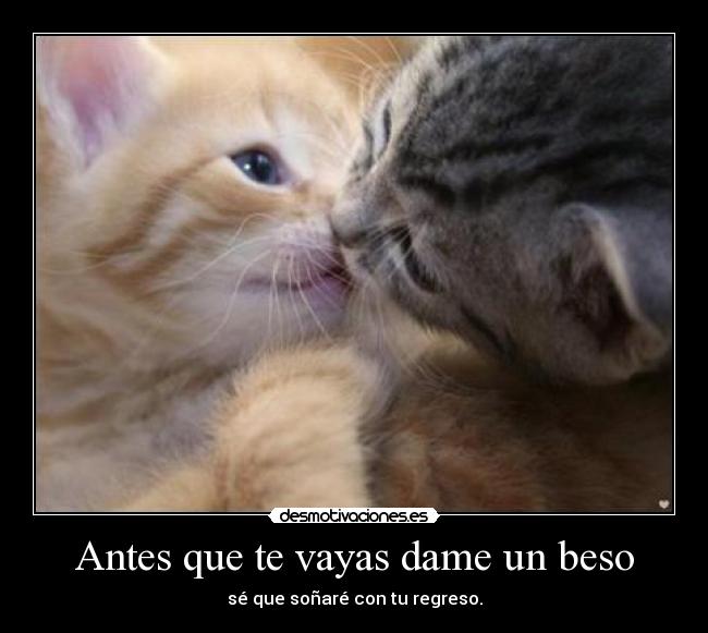 carteles desmotivaciones