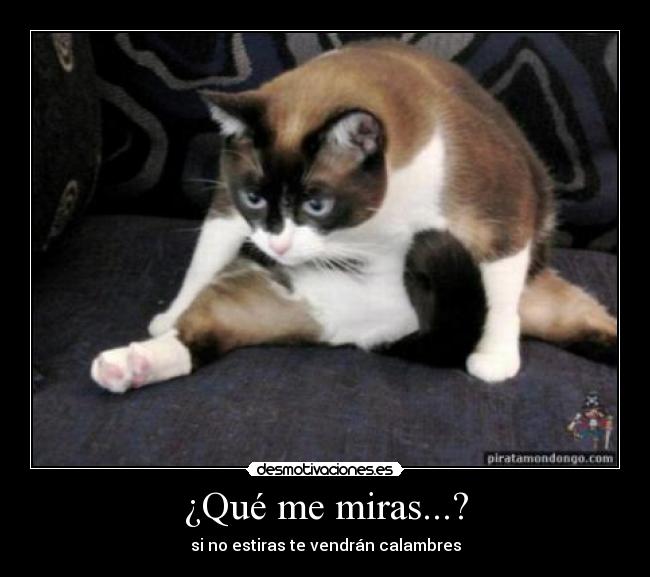 ¿Qué me miras...? - si no estiras te vendrán calambres