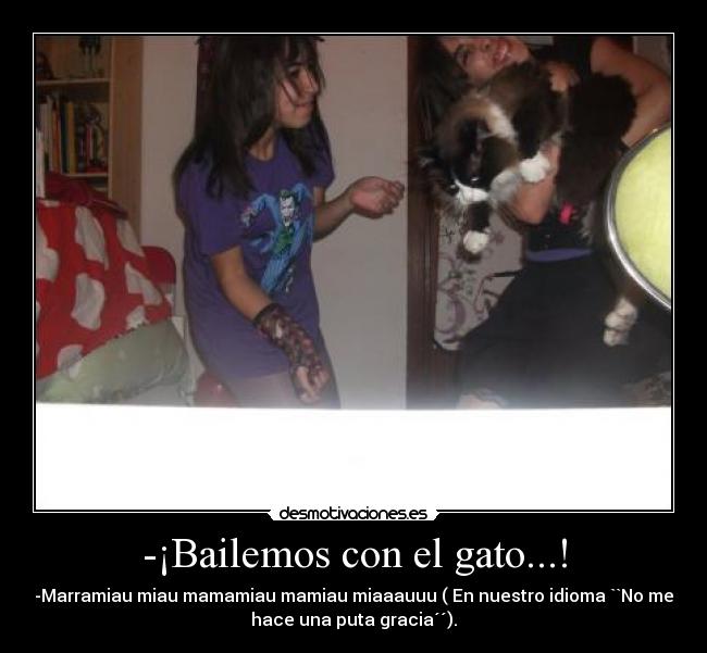 -¡Bailemos con el gato...! -