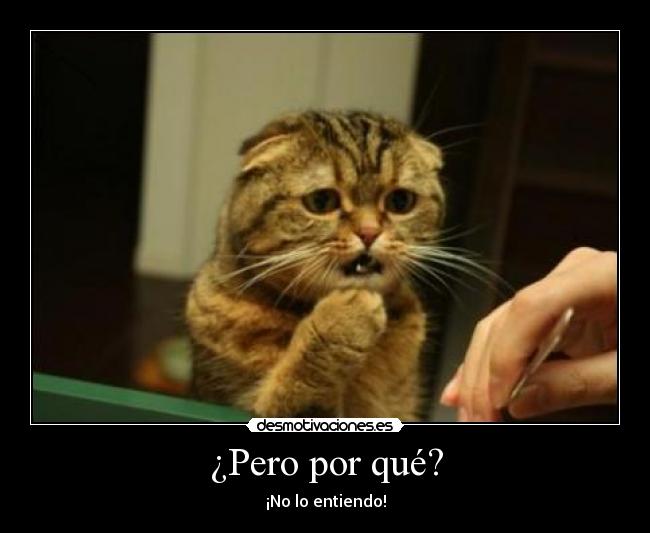 ¿Pero por qué? -