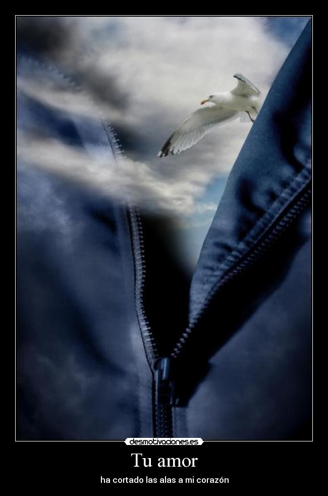 Tu amor - ha cortado las alas a mi corazón