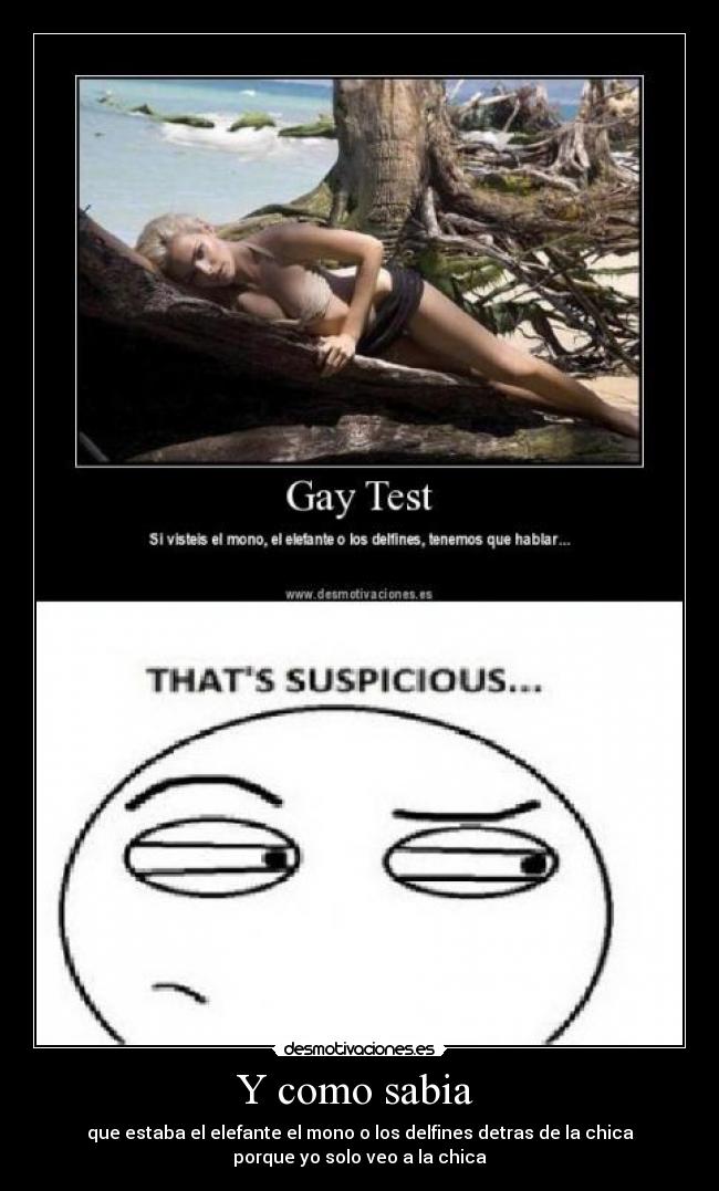 Y como sabia - que estaba el elefante el mono o los delfines detras de la chica
porque yo solo veo a la chica