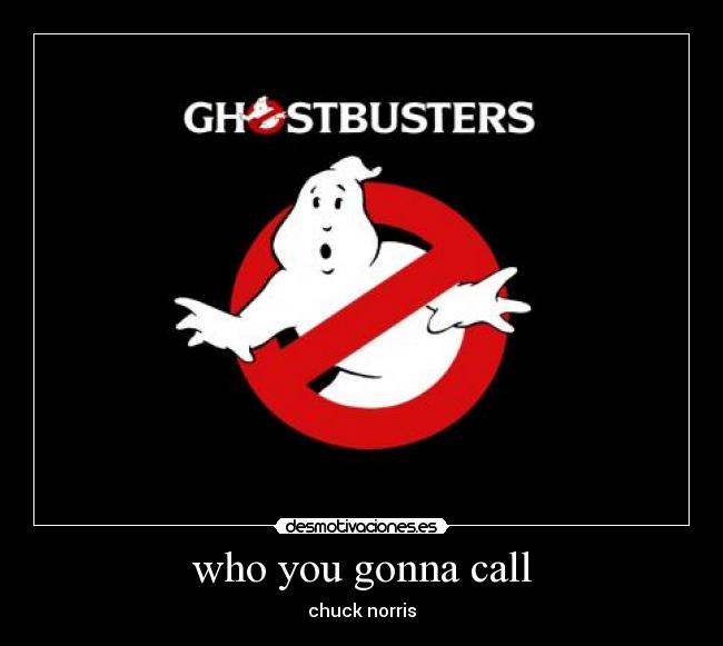 who you gonna call - chuck norris