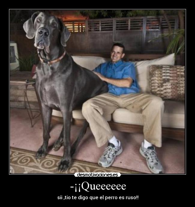 -¡¡Queeeeee - sii ,tio te digo que el perro es ruso!!