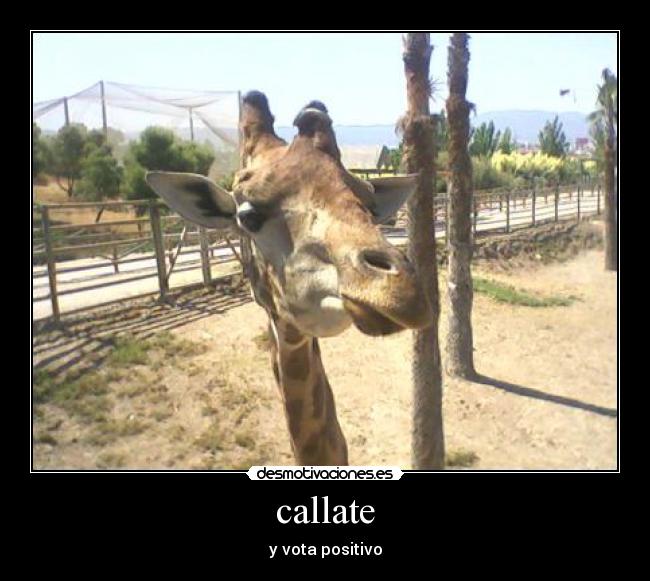 callate - y vota positivo