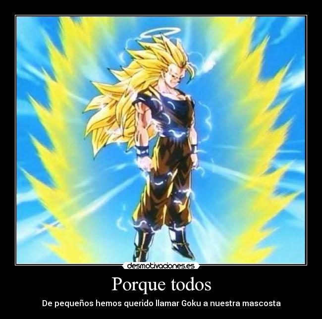 Porque todos - De pequeños hemos querido llamar Goku a nuestra mascosta