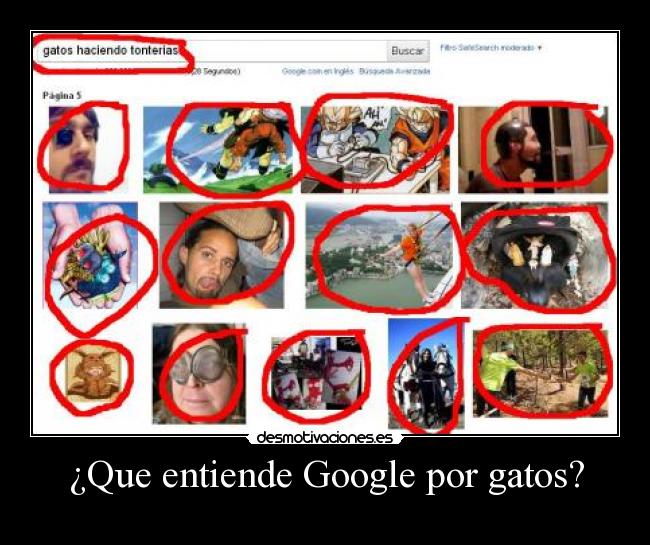 ¿Que entiende Google por gatos? -