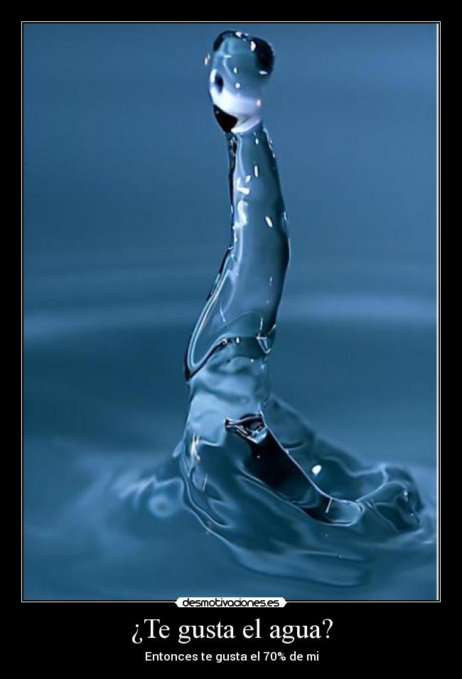 ¿Te gusta el agua? -