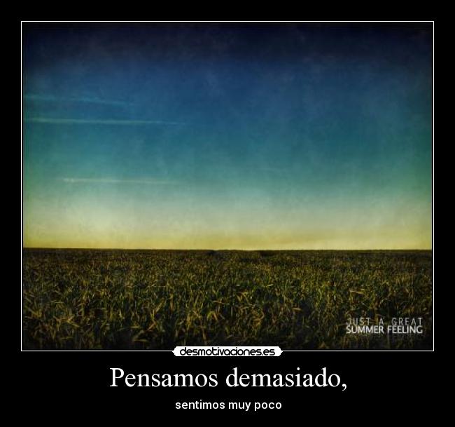 Pensamos demasiado, -