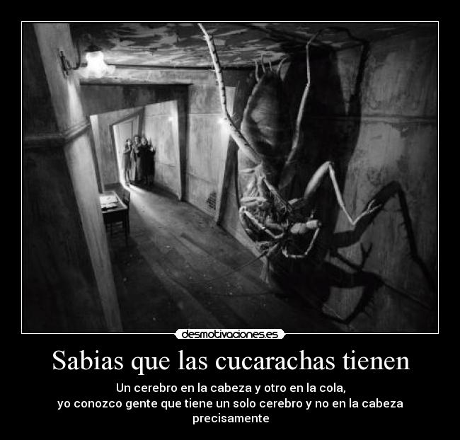 Sabias que las cucarachas tienen -