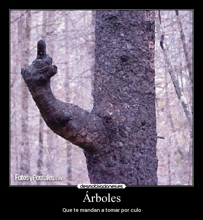 Árboles - 