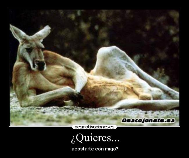 ¿Quieres... - 