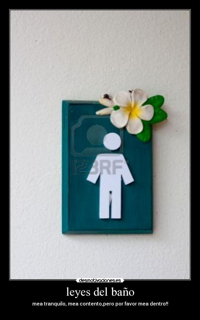 leyes del baño - 
