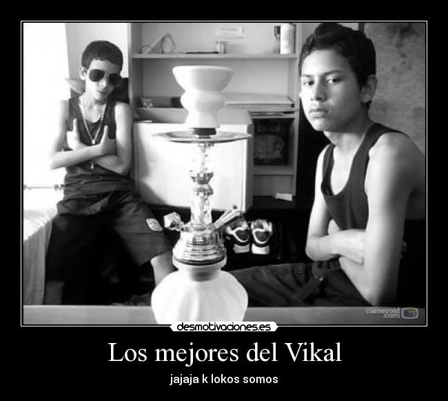 carteles los mejores del vikal desmotivaciones