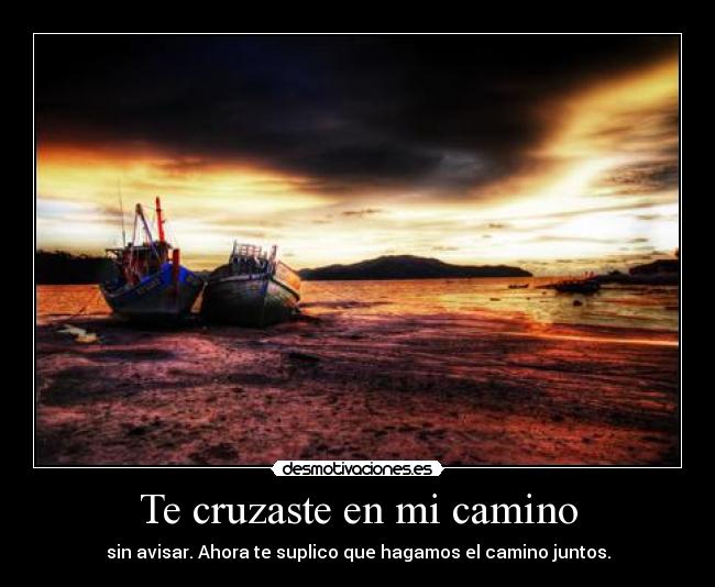 Te cruzaste en mi camino -