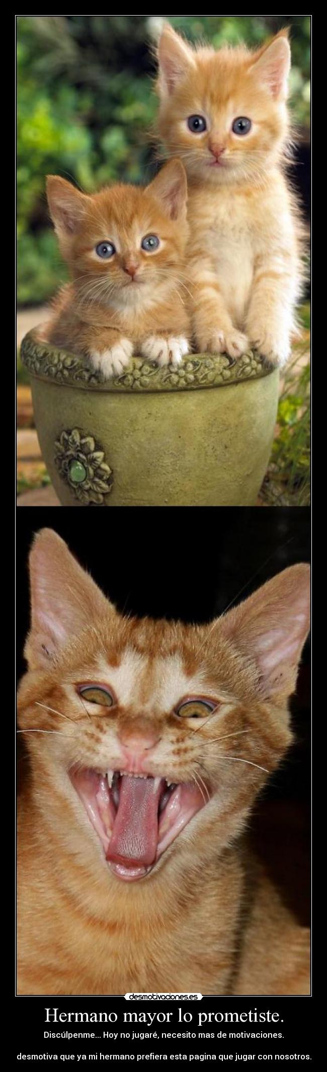 Hermano mayor lo prometiste. -