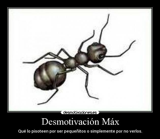 Desmotivación Máx - Qué lo pisoteen por ser pequeñitos o simplemente por no verlos.